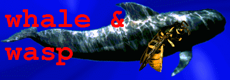 Whale & Wasp